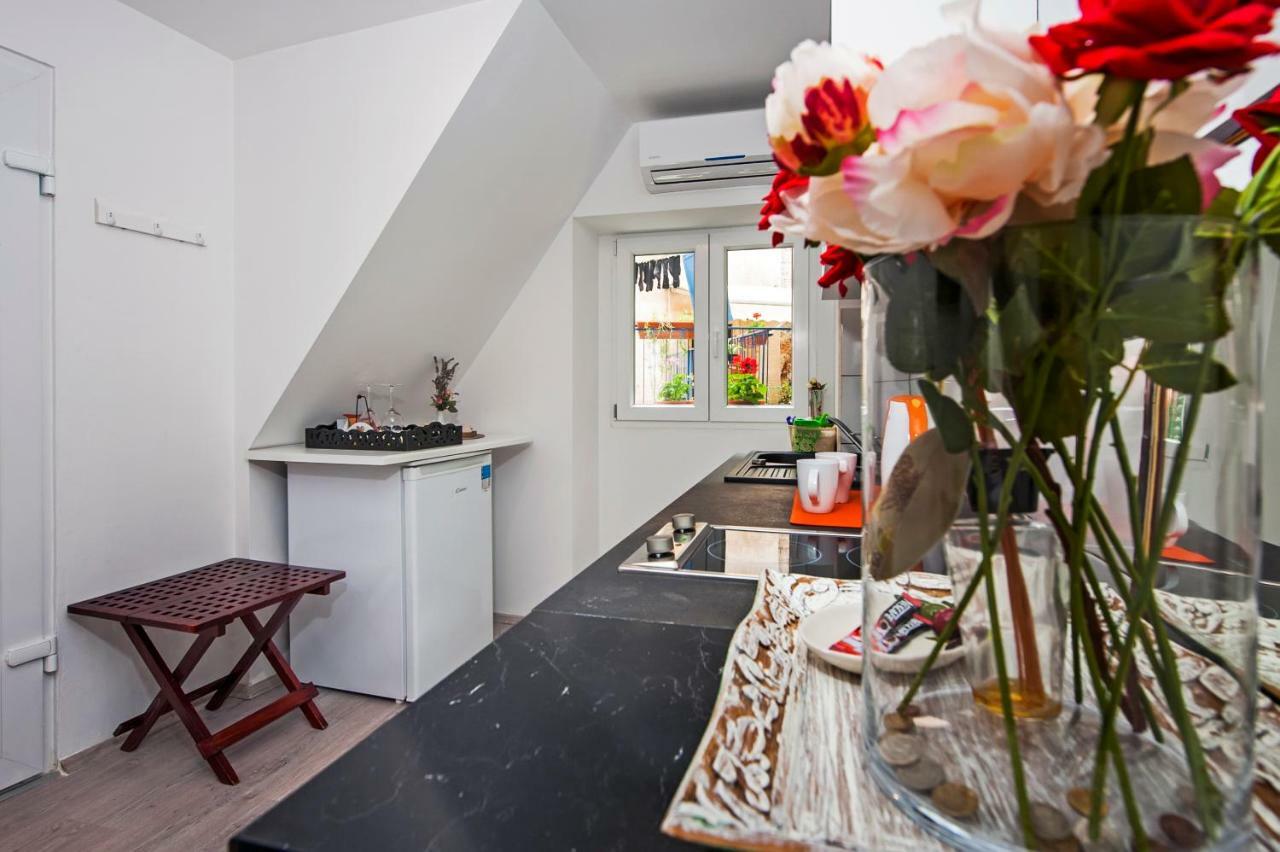 Apartman Delfin Rovigno Esterno foto